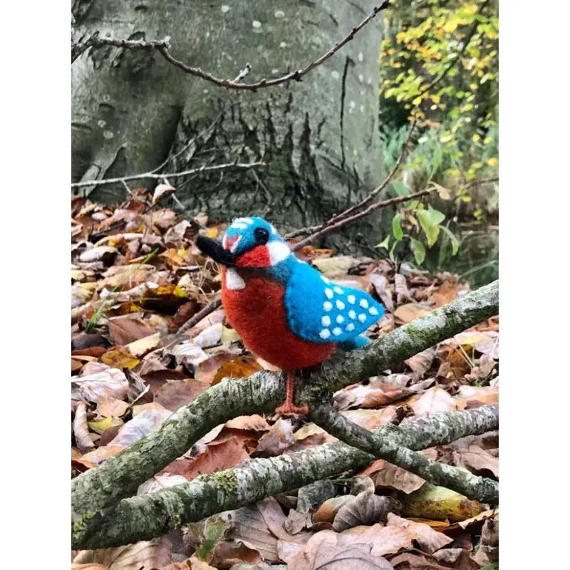 Foto 2 Vilten ijsvogel