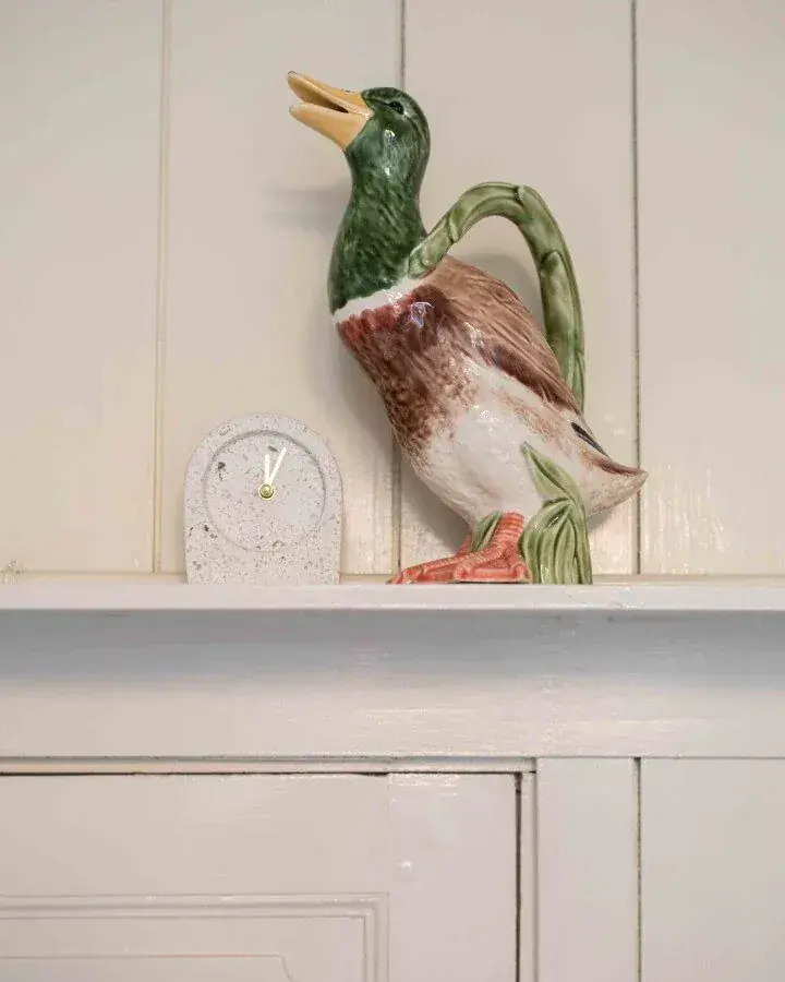 Foto 2 Waterkan Douglas Duck