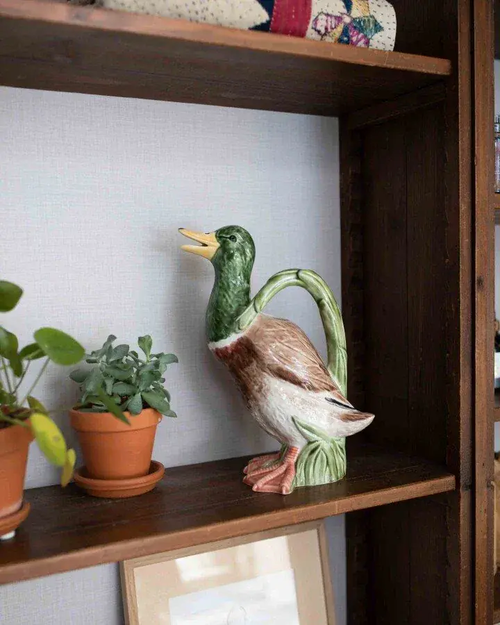 Foto 3 Waterkan Douglas Duck