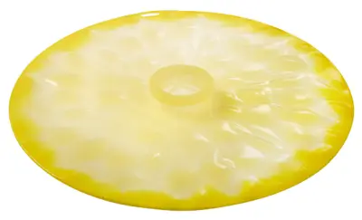 Foto van Lemon Lid 23cm