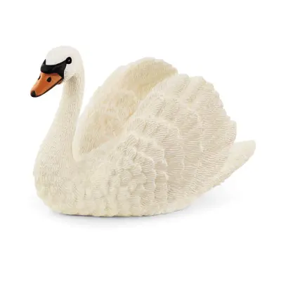 Foto van zwaan