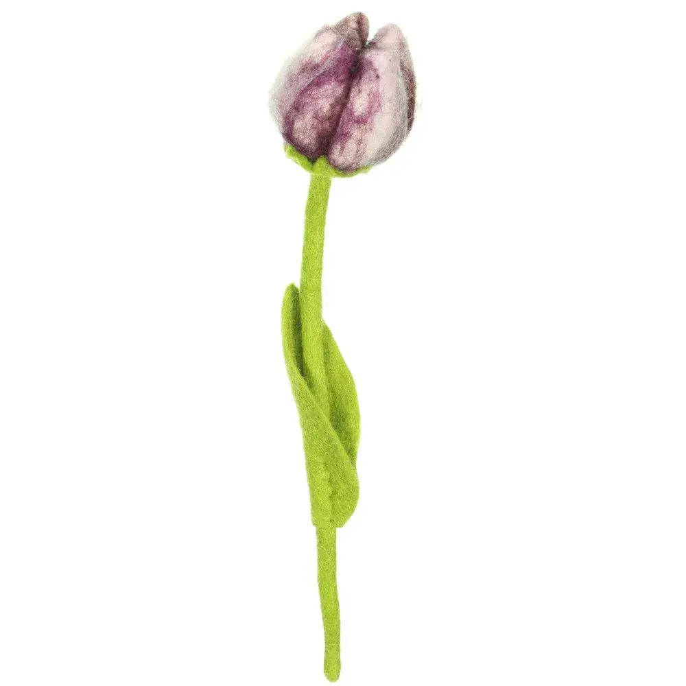 Foto van Vilten tulp Gini