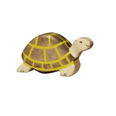 Foto van Schildpad
