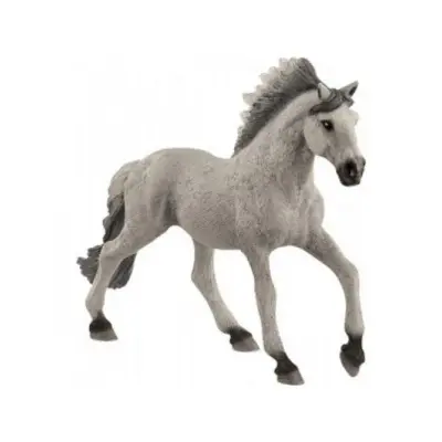 Foto van Schleich Sorraia mustang