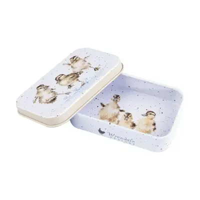 Foto van Tin Puddle Ducks