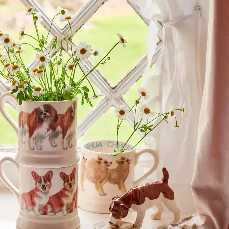 Foto 4 Mug 1/2 Pint Welsh Corgi