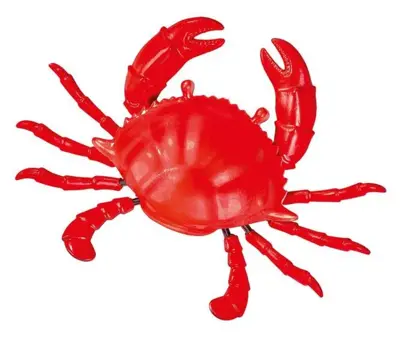 Foto van Magneet krab