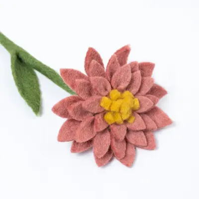 Foto van Dahlia Blush