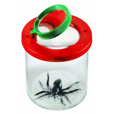 Foto van Insectendoosje met loep groen