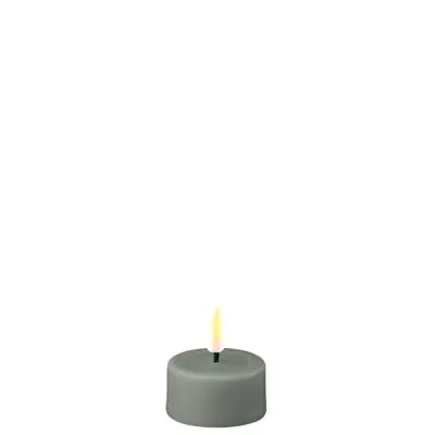 Foto van LED Tealight Salvie Green S x2