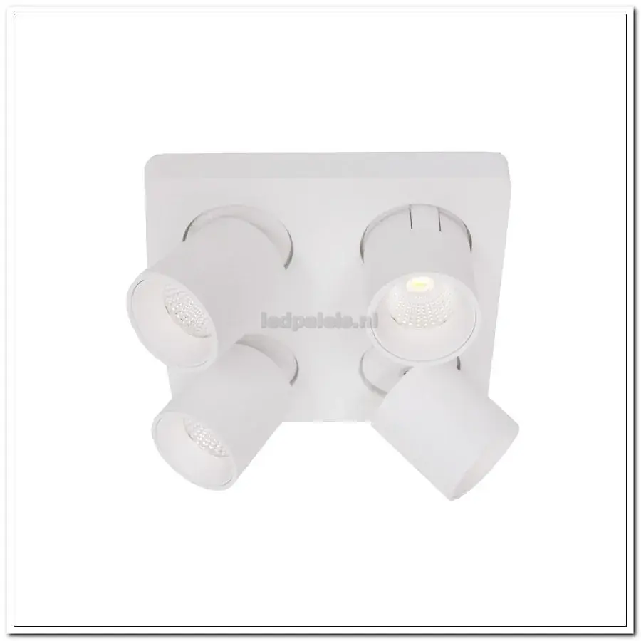 Foto van 20 PARTYLIGHTS 5CM LED CLASSIC 10M/5M AANLOOPSNOER / IP44