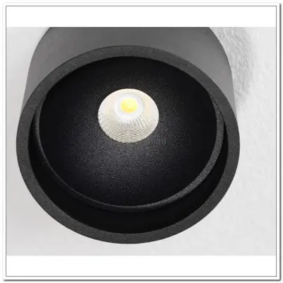 Foto van Plafondlamp spot zwart "Orleans" Ø11cm 10h LED 7W 630lm dimbaar