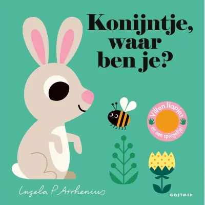 Foto van Houten reuzenrad NIM spel