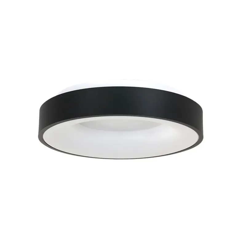 Foto 1 Plafondlamp Ringlede 2562ZW Zwart Ø38cm Ringlede 2562ZW