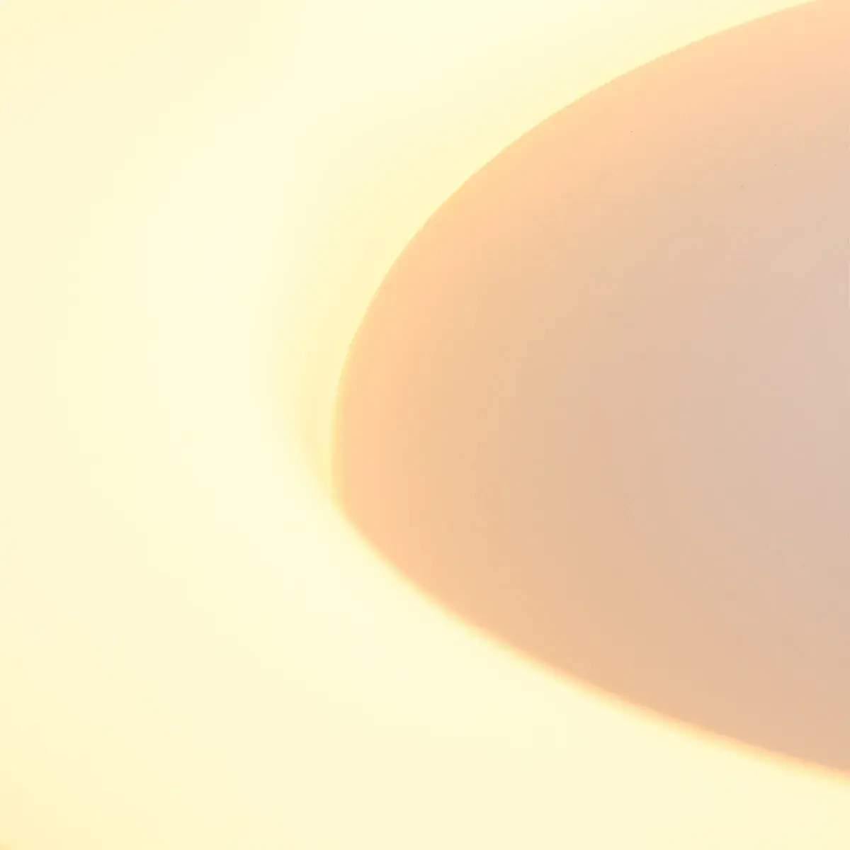 Foto 10 Plafondlamp Ringlede 2562ZW Zwart Ø38cm Ringlede 2562ZW