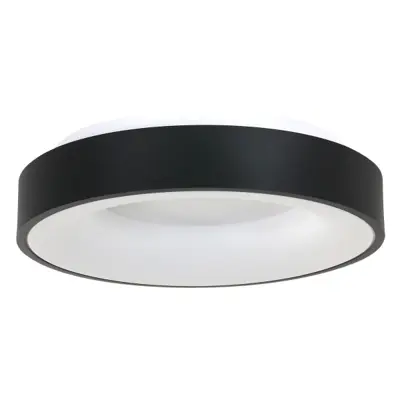 Foto van Plafondlamp RInglede 2563ZW Zwart Ø48cm Ringlede 2563ZW