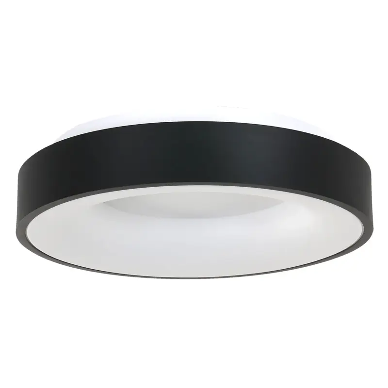 Foto 1 Plafondlamp RInglede 2563ZW Zwart Ø48cm Ringlede 2563ZW