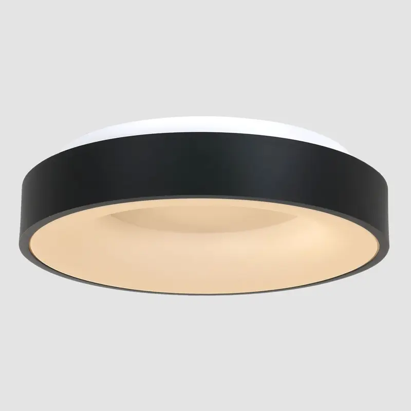 Foto 11 Plafondlamp RInglede 2563ZW Zwart Ø48cm Ringlede 2563ZW