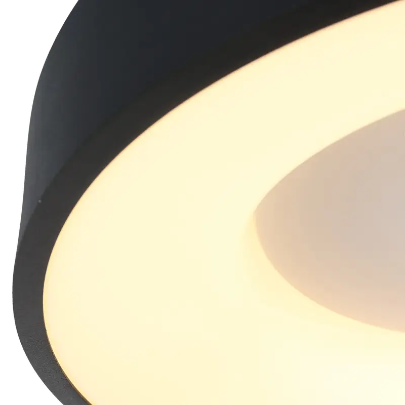 Foto 4 Plafondlamp RInglede 2563ZW Zwart Ø48cm Ringlede 2563ZW