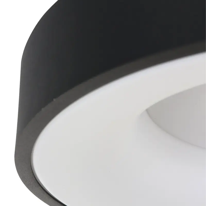 Foto 5 Plafondlamp RInglede 2563ZW Zwart Ø48cm Ringlede 2563ZW