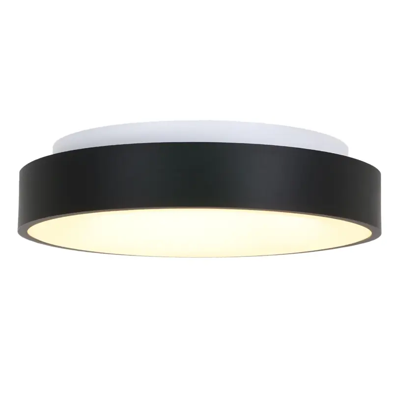 Foto 6 Plafondlamp RInglede 2563ZW Zwart Ø48cm Ringlede 2563ZW