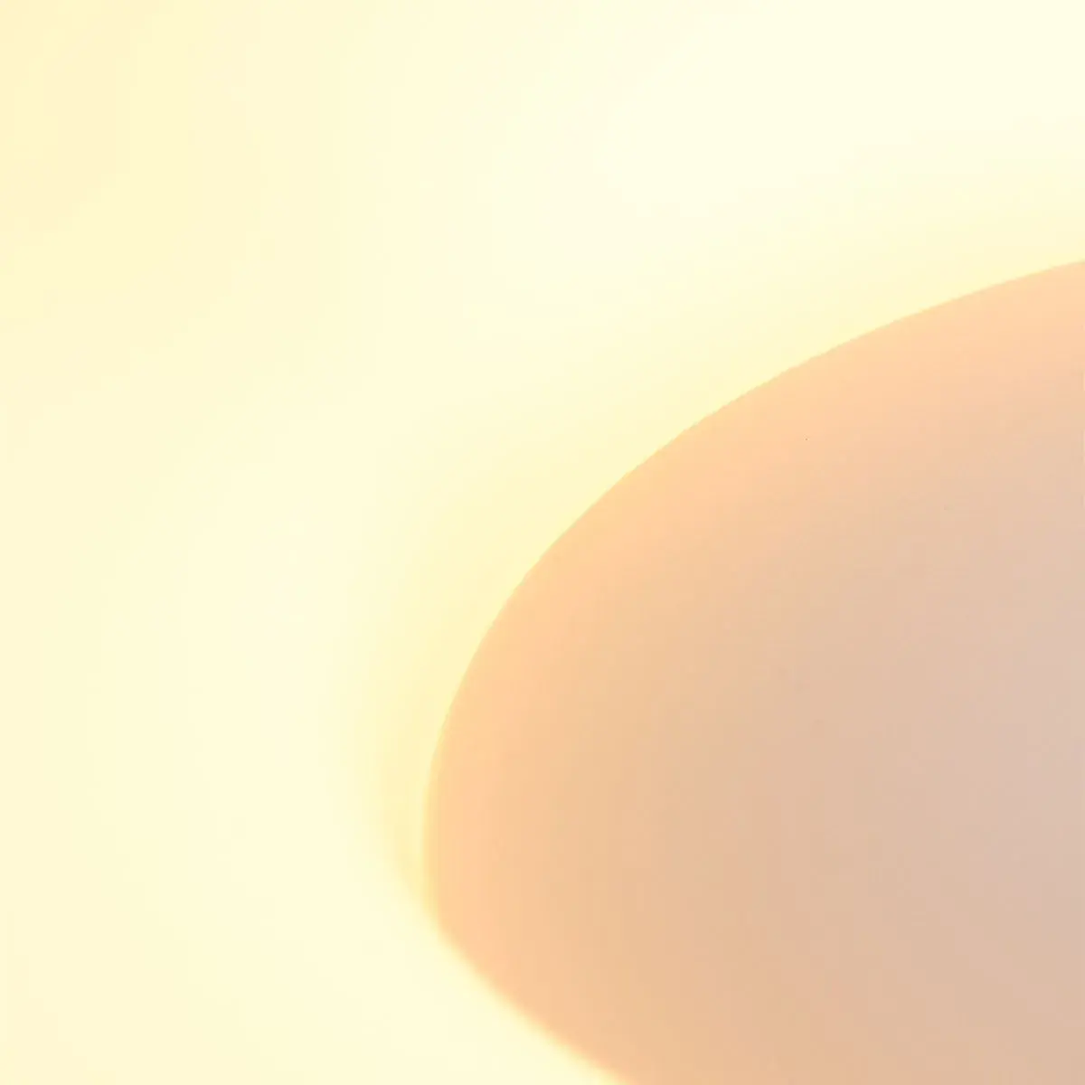 Foto 10 Plafondlamp RInglede 2563ZW Zwart Ø48cm Ringlede 2563ZW