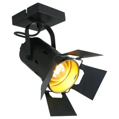 Foto van 7996ZW Spot 1-l. studio spotlight *M*