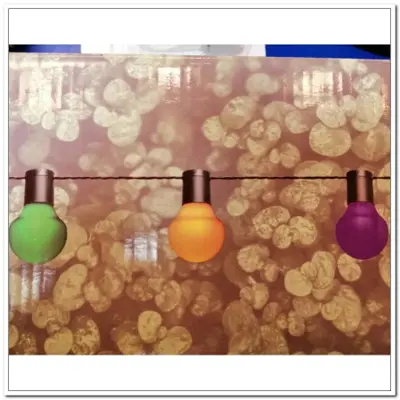 Foto van Partylight buiten 20 lichts 10m lamp 5,5cm groot multi colour