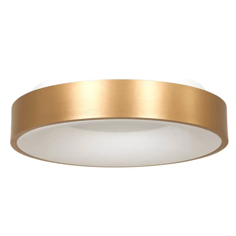 Foto 1 Plafondlamp RInglede 2563GO Goud Ø48cm Ringlede 2563GO