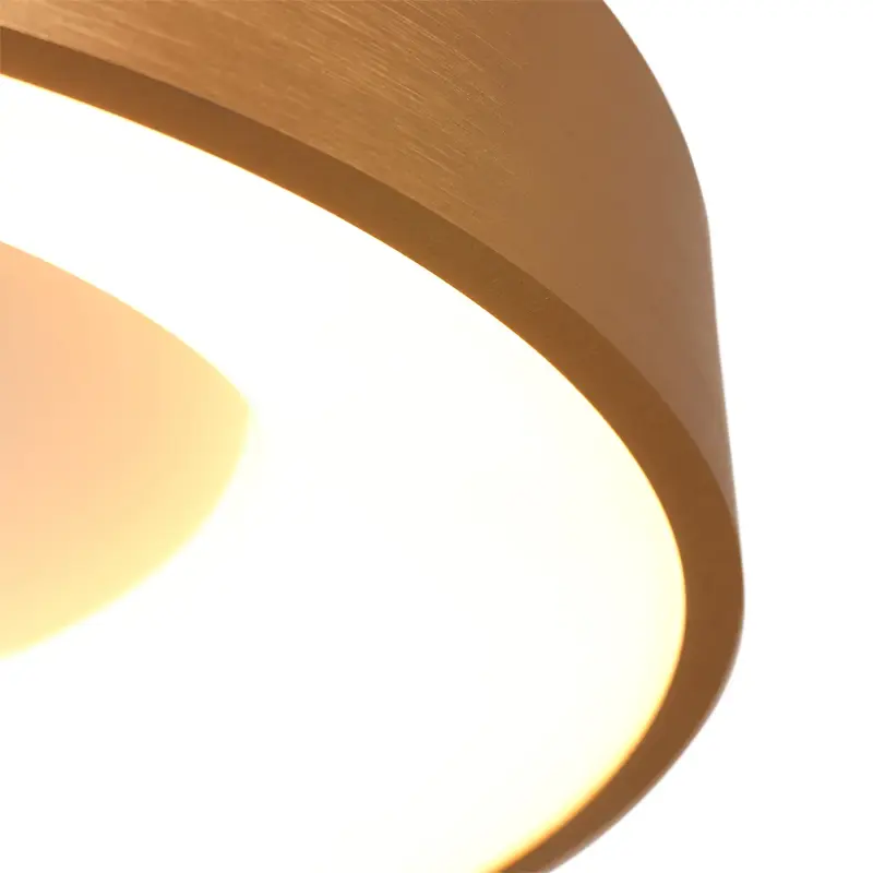 Foto 4 Plafondlamp RInglede 2563GO Goud Ø48cm Ringlede 2563GO
