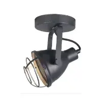 Foto van Spot Vintage Patries 1l zwart