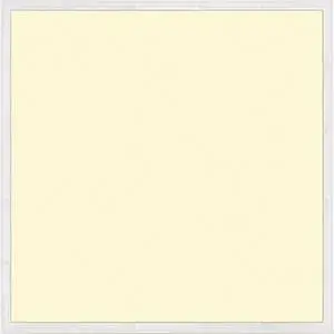 Foto 1 basic led paneel 4000k 60 x 60 cm met driver