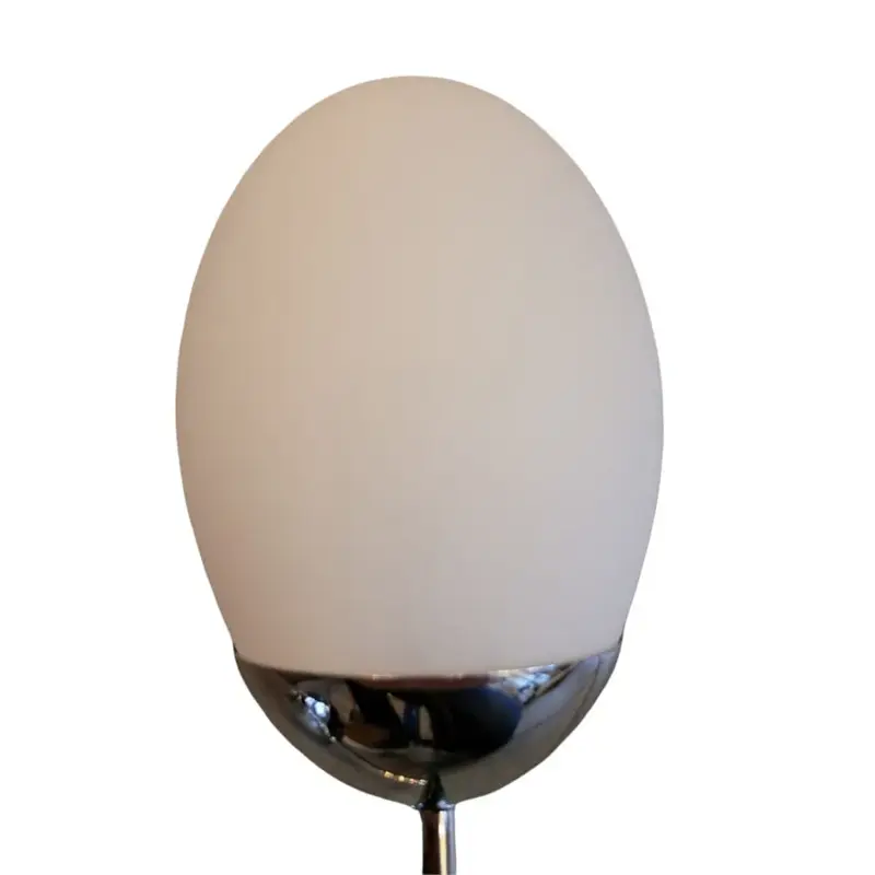 Foto 2 Sphinx wandlamp Sphinx340 badkamer chroom