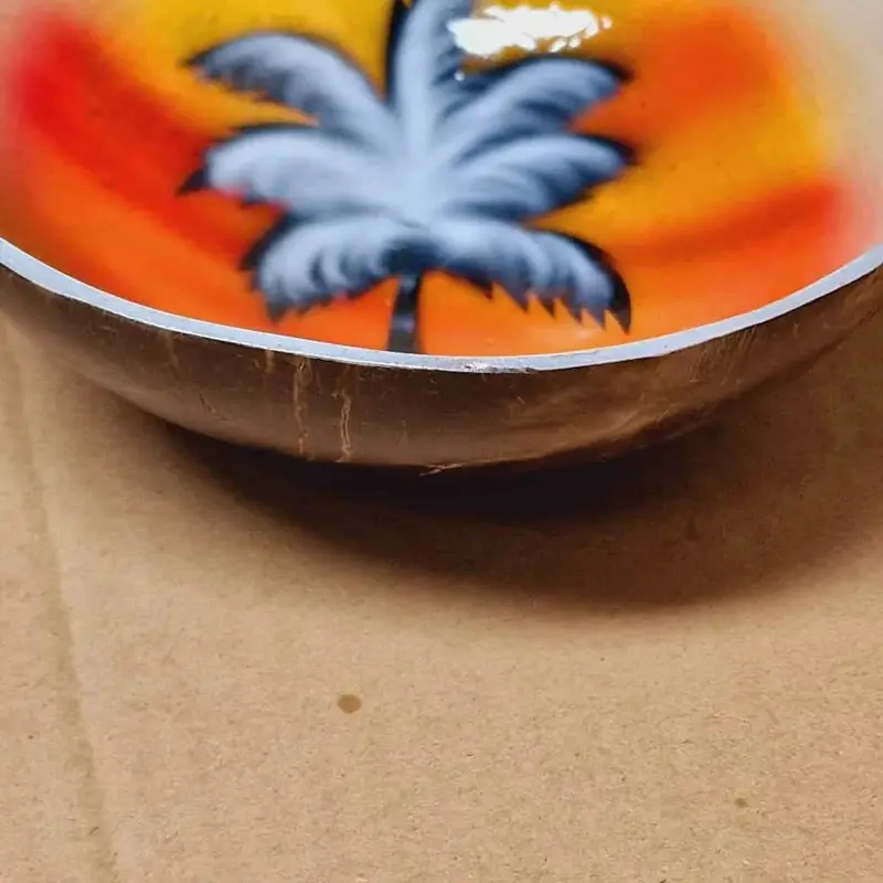 Foto 2 Kokosnoot bakje geschilderd palmboom