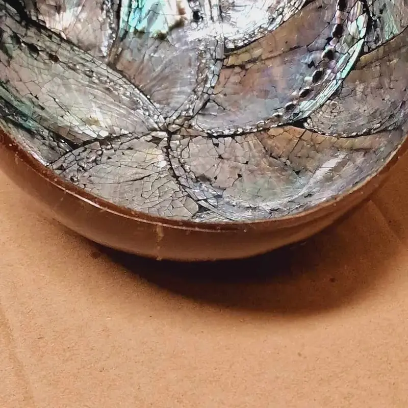 Foto 2 Kokosnoot bakje schelpen en geschilderd blad