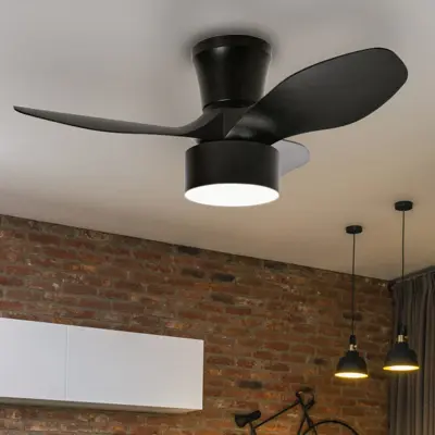 Foto van Plafondventilator Fly Maxi Zwart