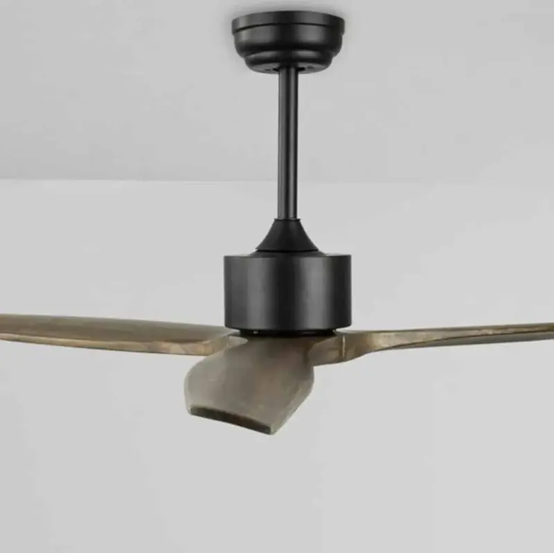 Foto 4 Plafondventilator Wood Vento met afstandbediening