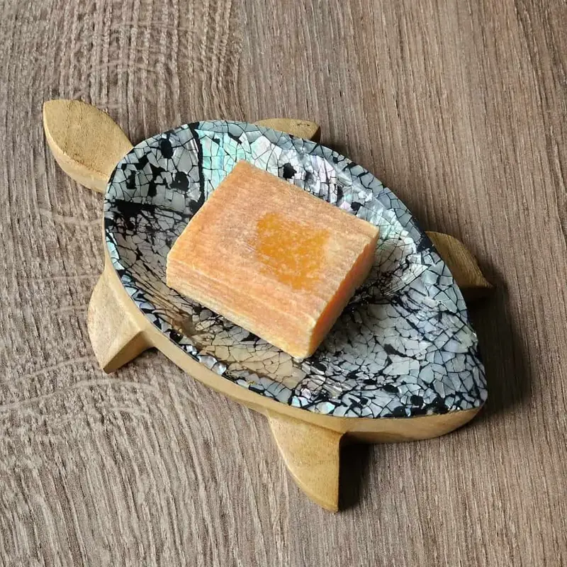 Foto 3 Houten bakje schilpad met schelp