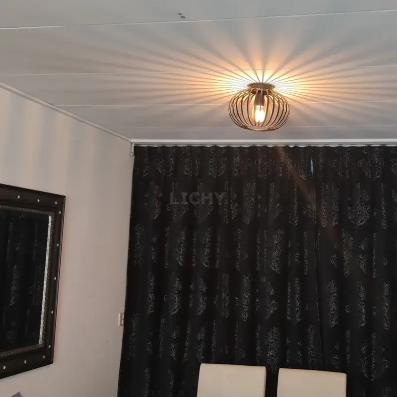 Foto 4 Agli plafondlamp zwart 40cm pl 9004 z