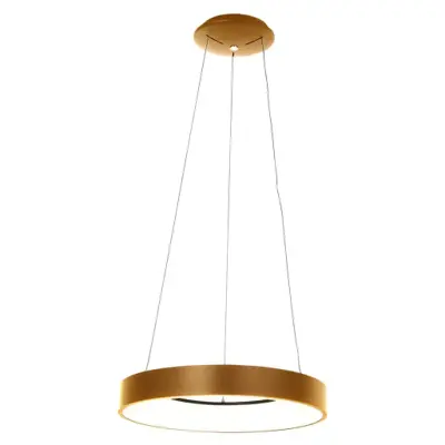 Foto van Hanglamp Ringlede 2695GO Goud Ringlede 2695GO