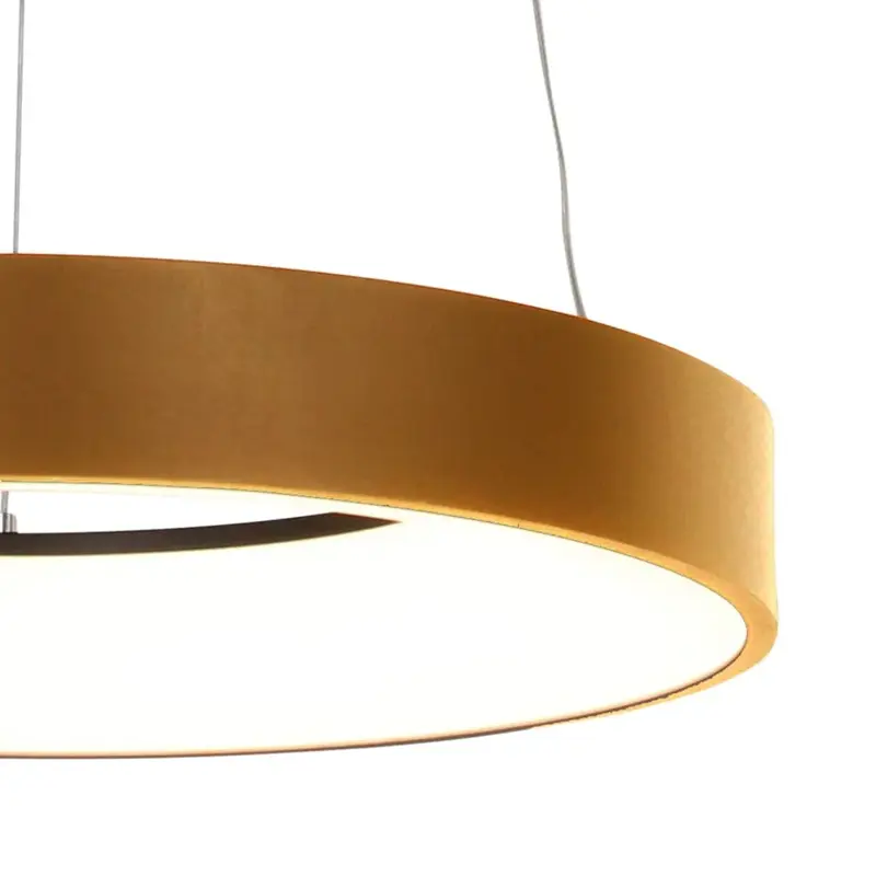 Foto 2 Hanglamp Ringlede 2695GO Goud Ringlede 2695GO