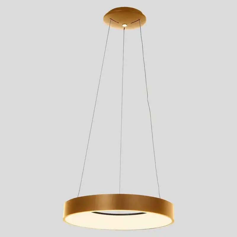 Foto 8 Hanglamp Ringlede 2695GO Goud Ringlede 2695GO
