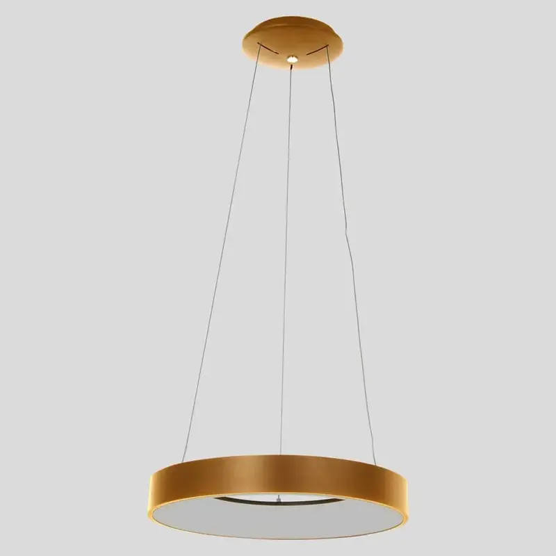 Foto 9 Hanglamp Ringlede 2695GO Goud Ringlede 2695GO